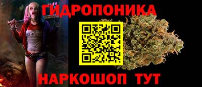 альфа пвп Аргун